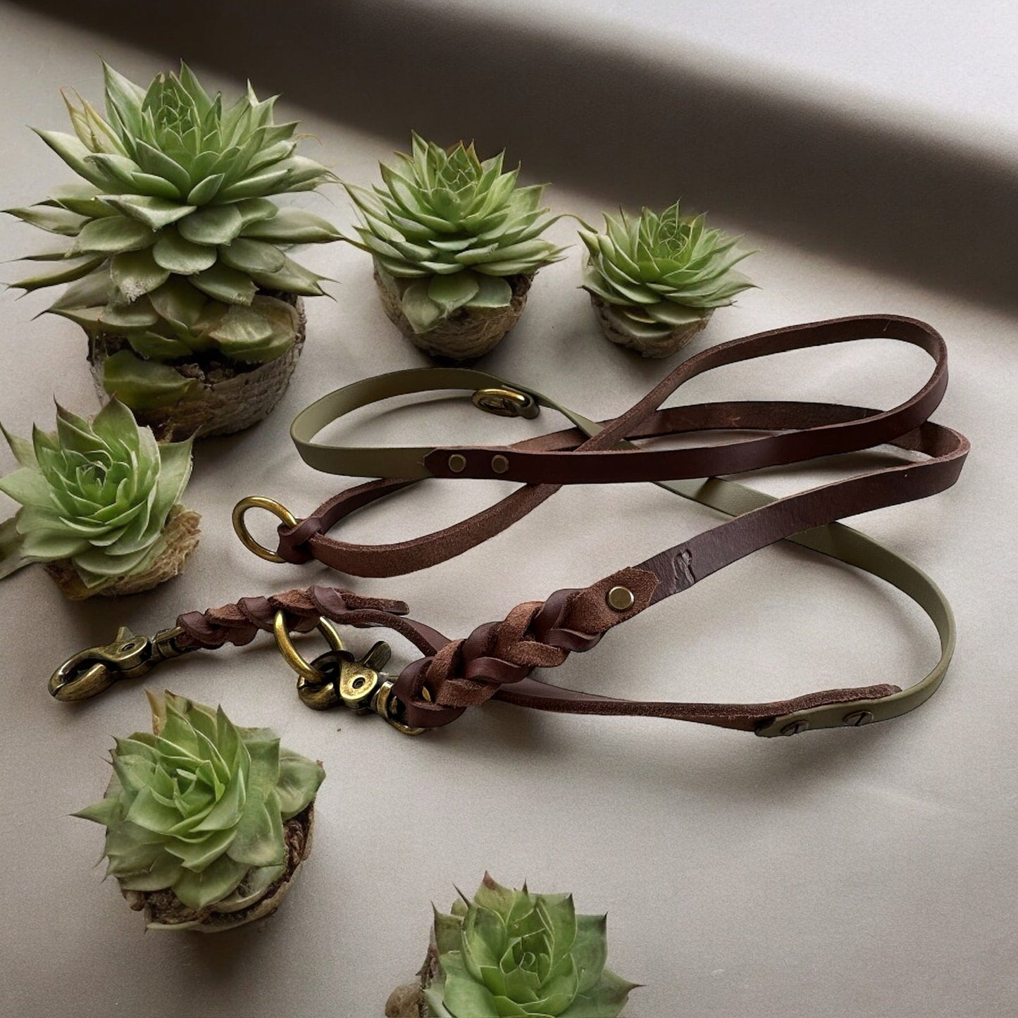 Biothane - Lederleine - Milas Leash