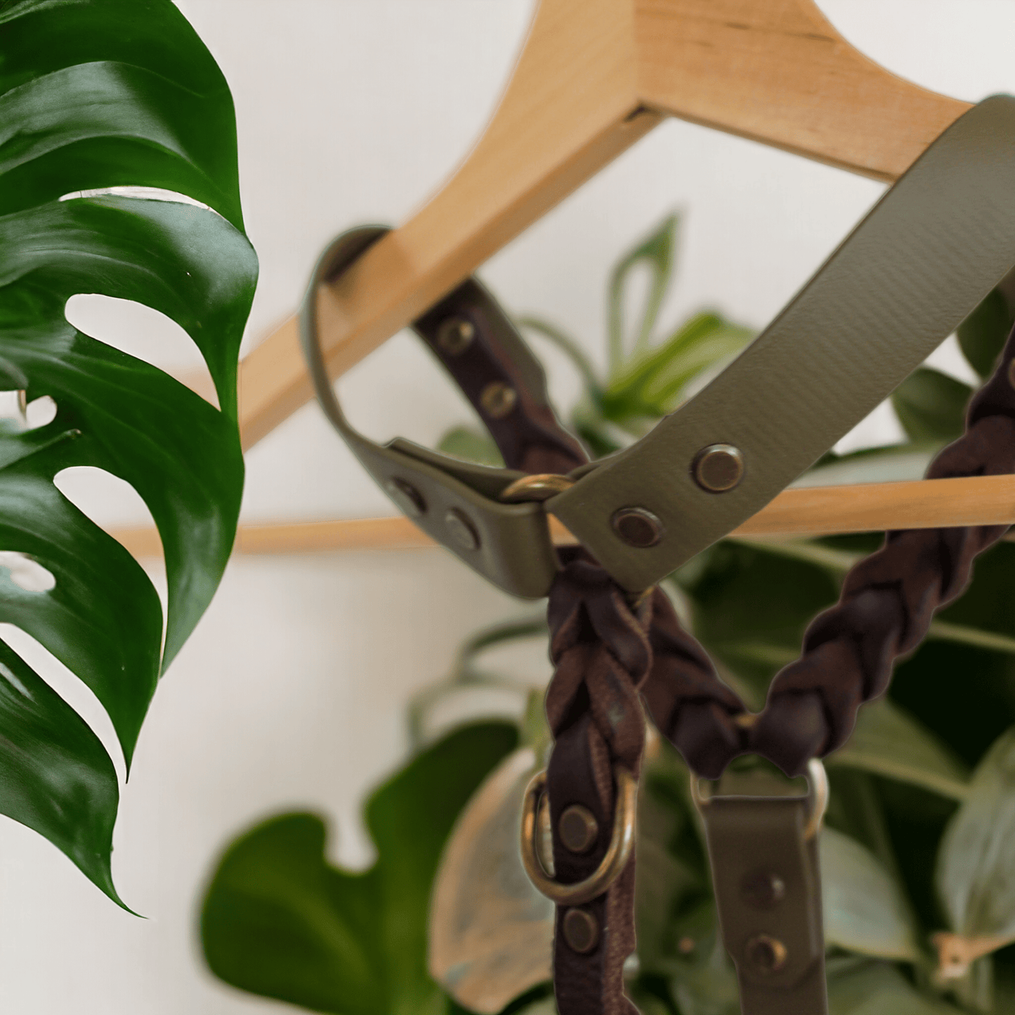 GESTALTE SELBST - Biothane - Leder - Geschirr - Milas Leash