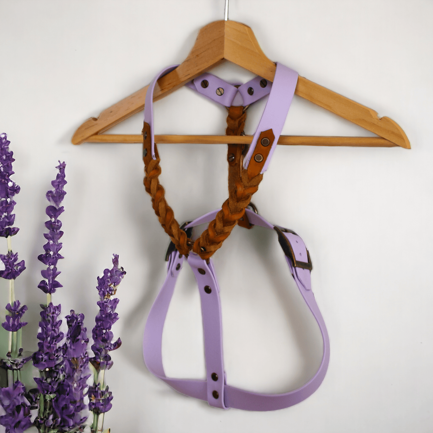 GESTALTE SELBST - Biothane - Leder - Geschirr - Milas Leash