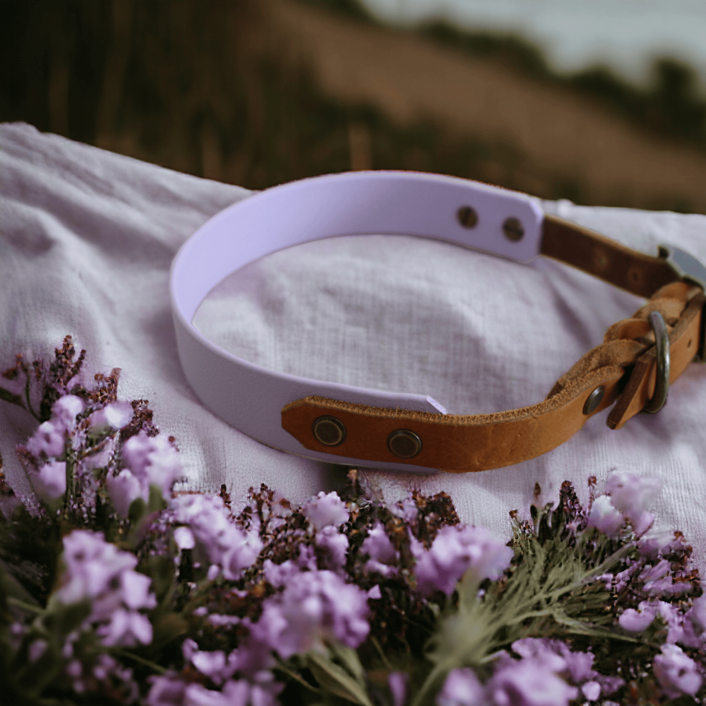 GESTALTE SELBST - Biothane - Leder - Halsband - Milas Leash