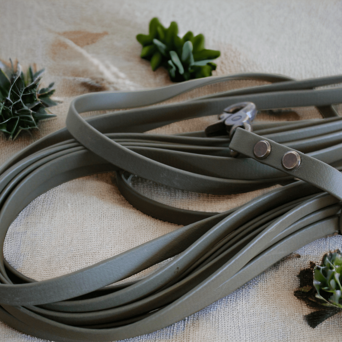 GESTALTE SELBST - Biothane - Schleppleine - Milas Leash