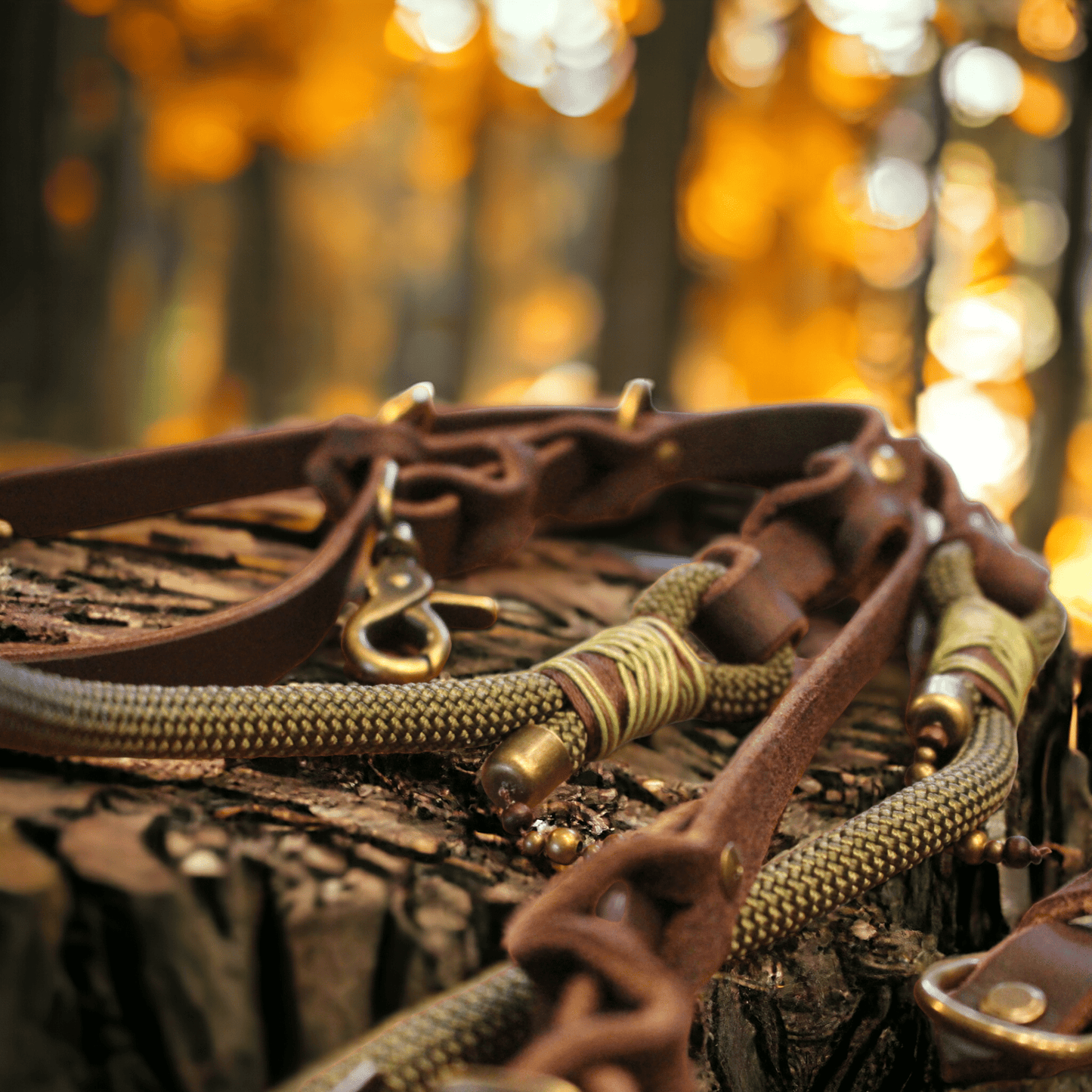 GESTALTE SELBST - Tau - Lederset - Milas Leash