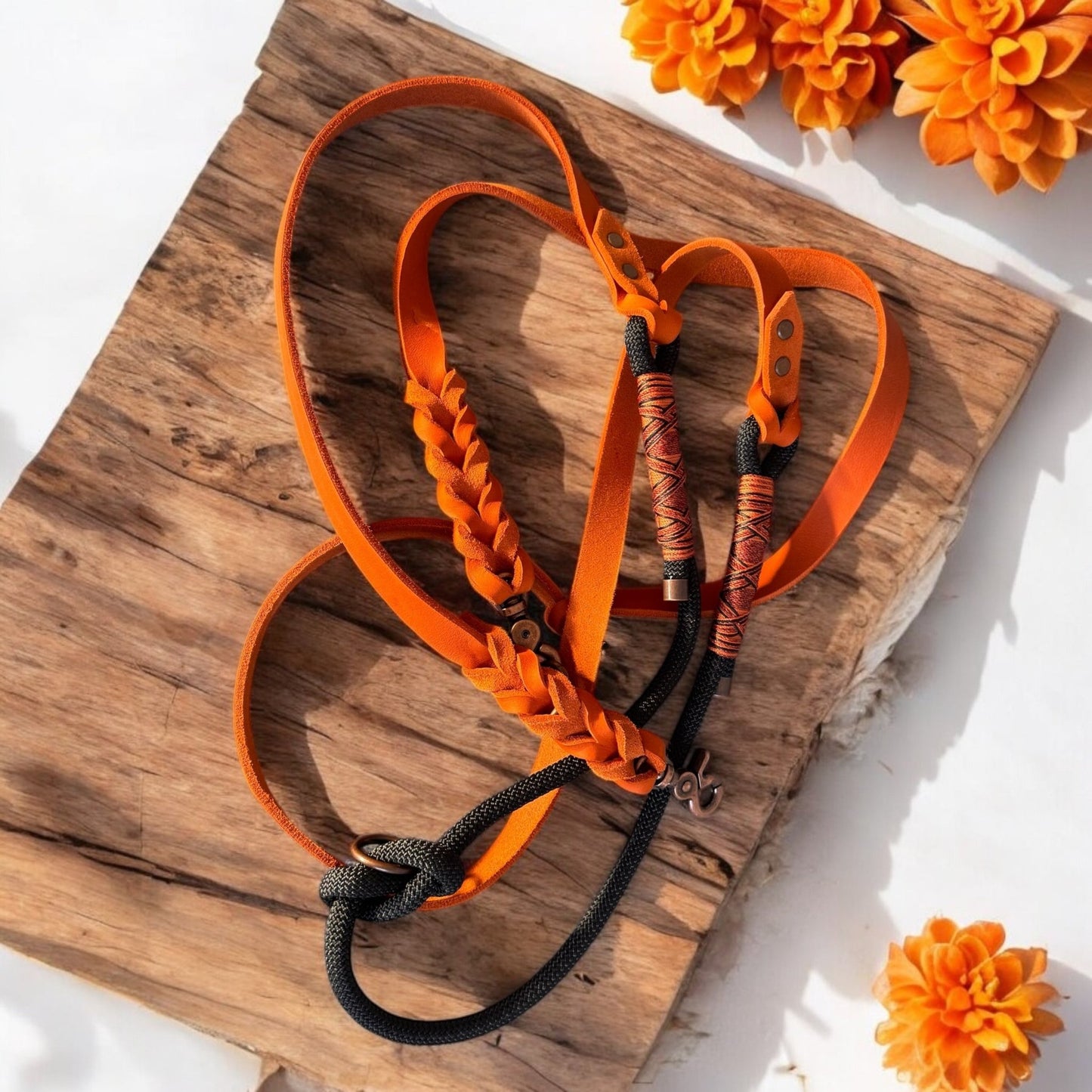 GESTALTE SELBST - Tau - Lederset - Milas Leash