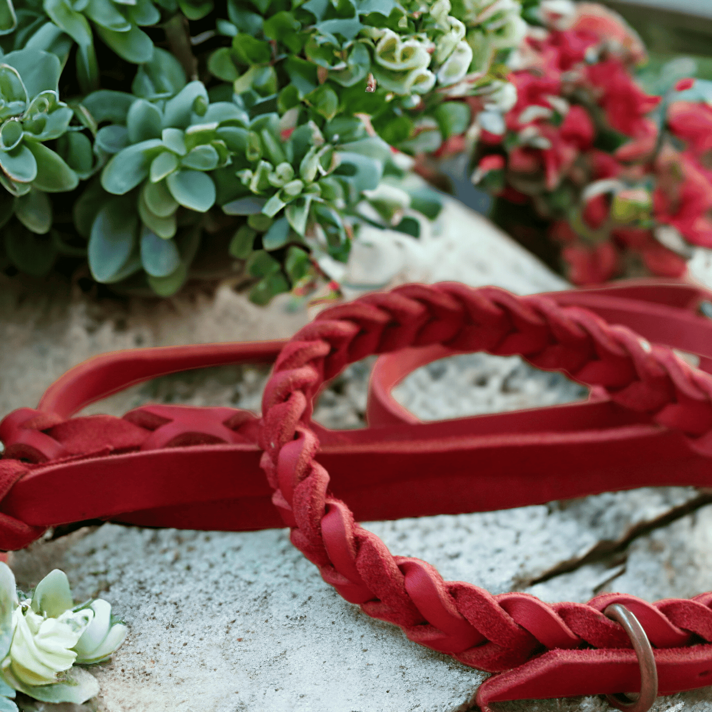 Rotes Lederset - Milas Leash