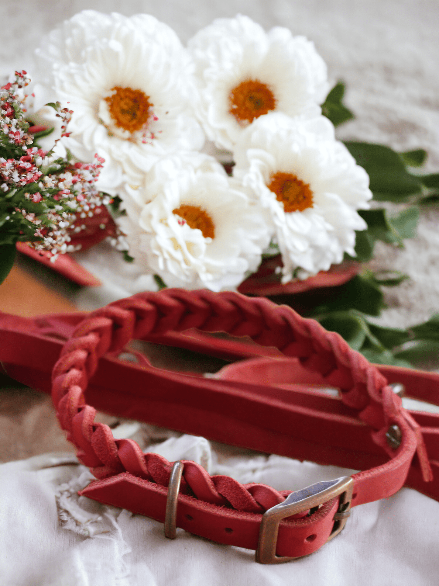 Rotes Lederset - Milas Leash