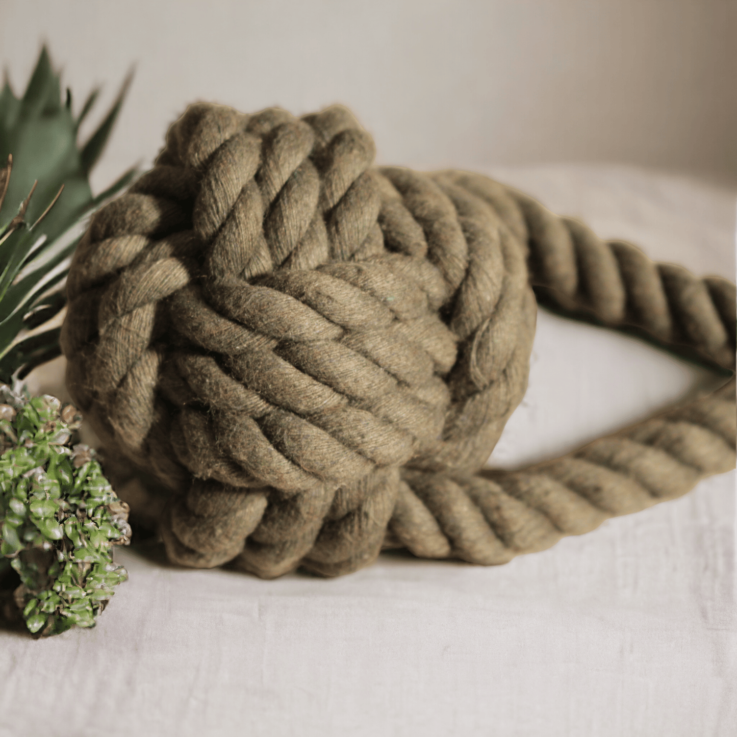Tauknoten - Milas Leash