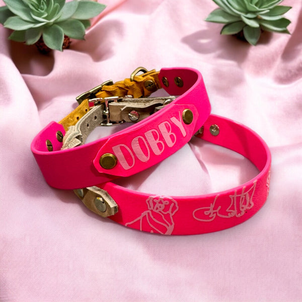 Biothane-Lederhalsband für Hunde – individuell gestaltbar