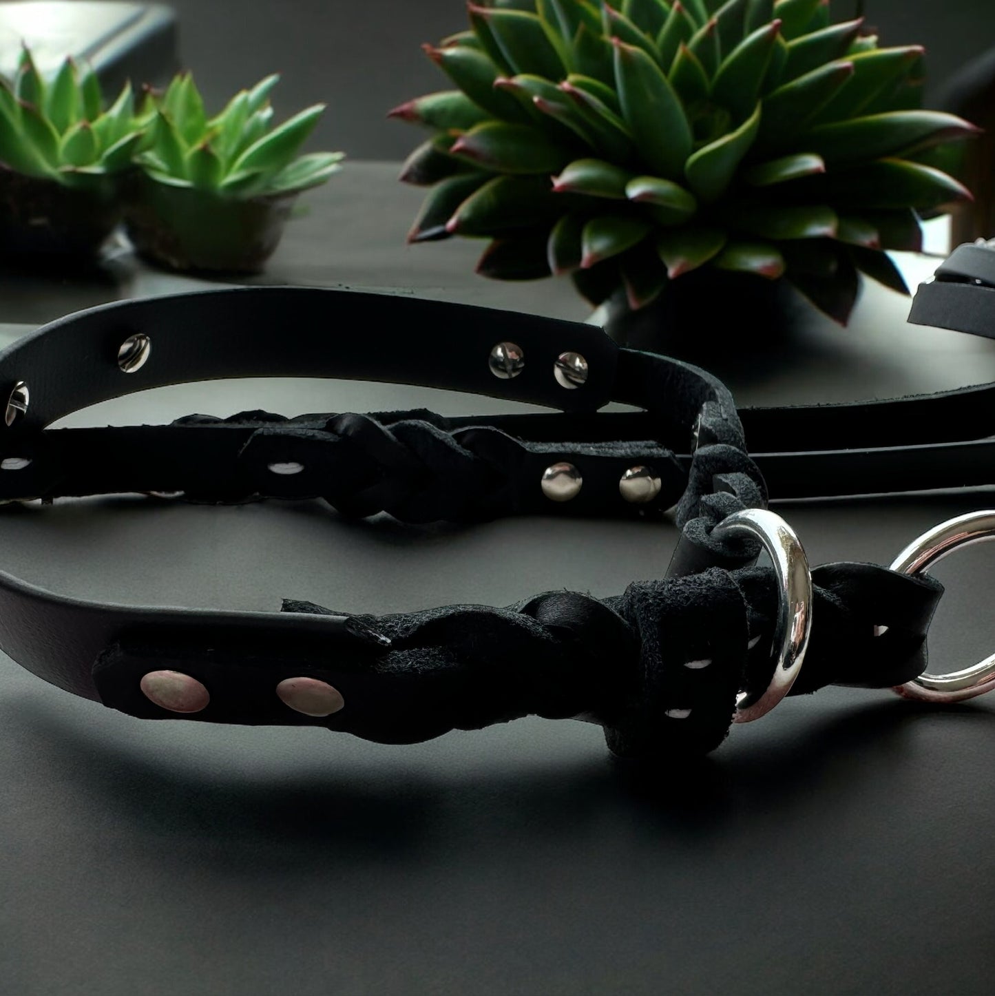 Biothane-Leder-Set