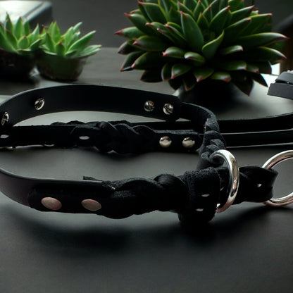 Biothane-Leder-Set
