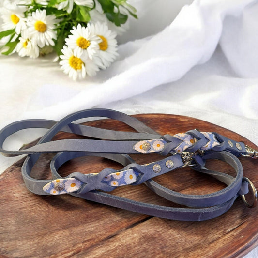 Biothane - Lederleine Daisy - Milas Leash